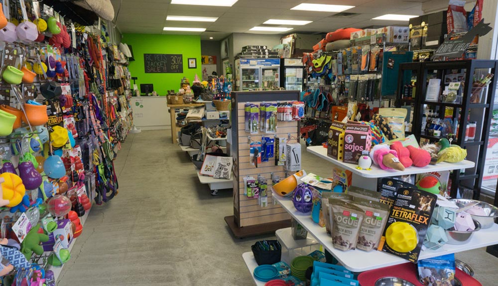 Discover Dogs | 701 Kingsway, Vancouver, BC V5T 3K6, Canada | Phone: (604) 428-3647
