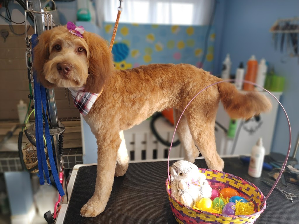 The Grooming Laydee | 7284 County 50 Rd W, Harrow, ON N0R 1G0, Canada | Phone: (226) 202-0428