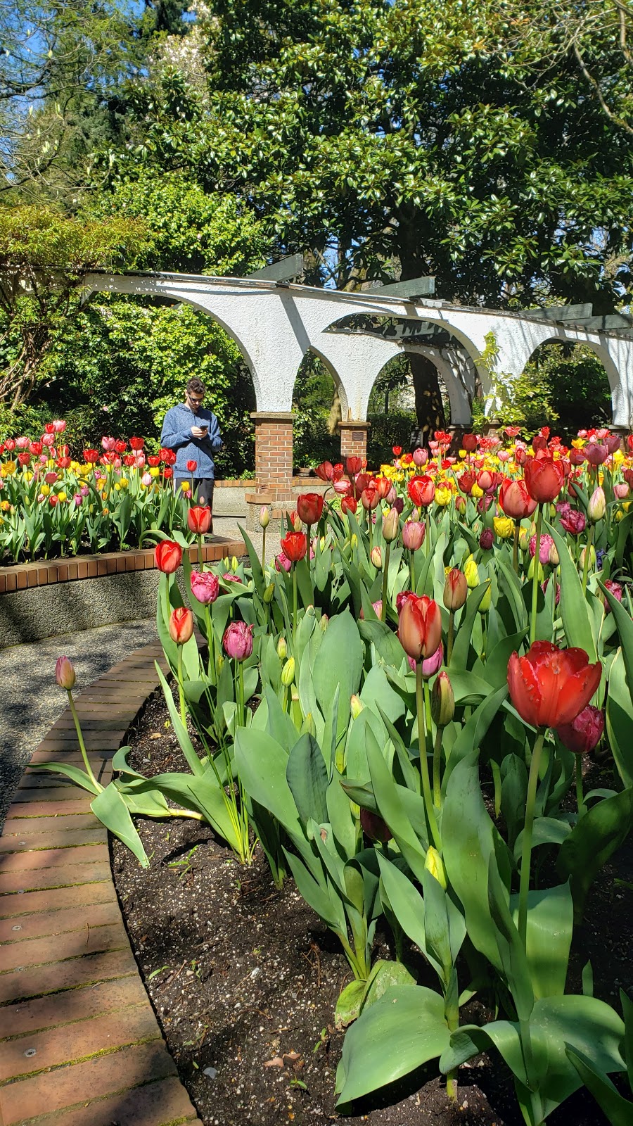 Park & Tilford Gardens | 333 Brooksbank Ave, North Vancouver, BC V7J 3S8, Canada | Phone: (604) 984-8200