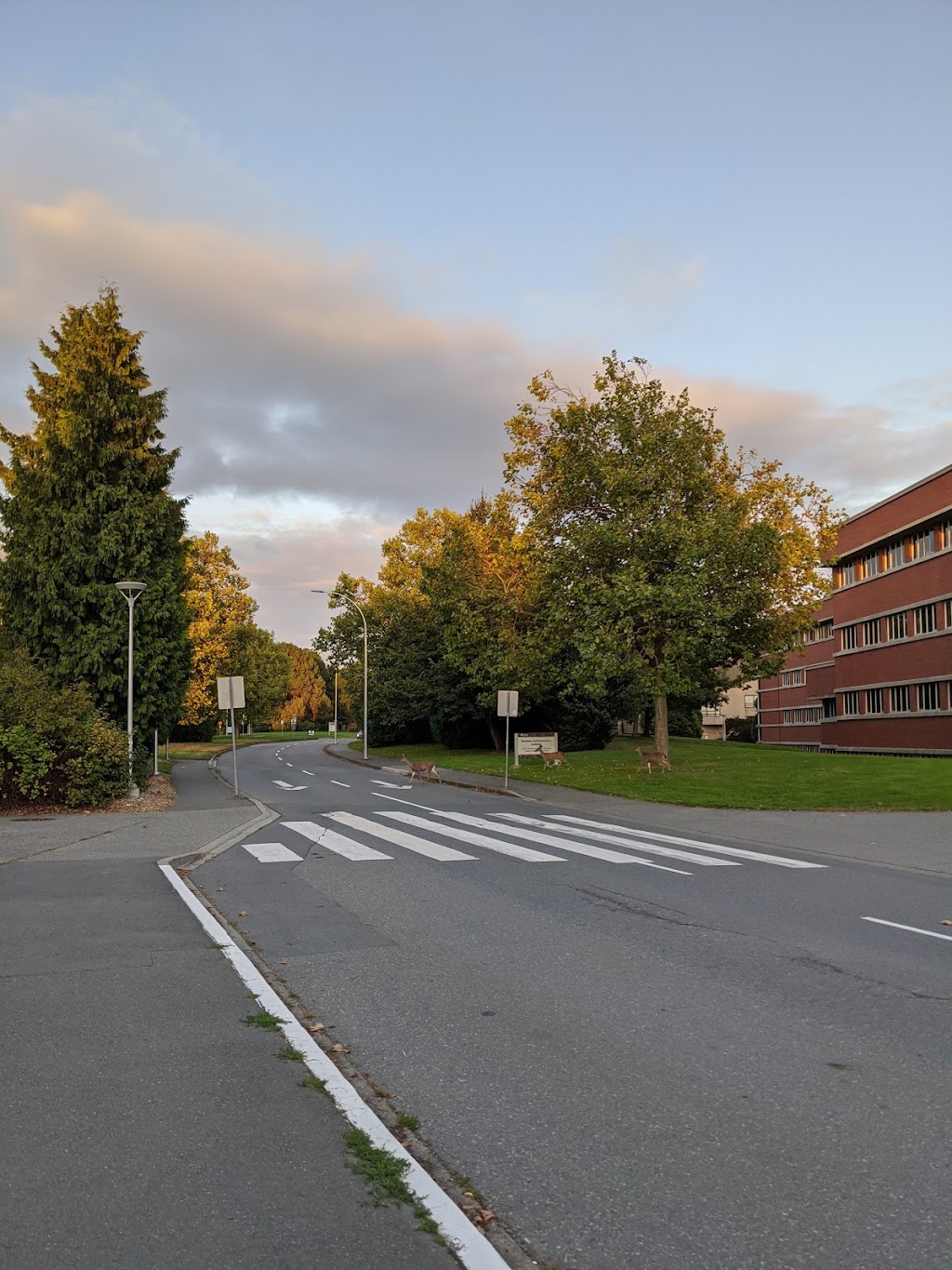 Peter B. Gustavson School of Business | Finnerty Rd, Victoria, BC V8P 5C2, Canada | Phone: (250) 472-4139