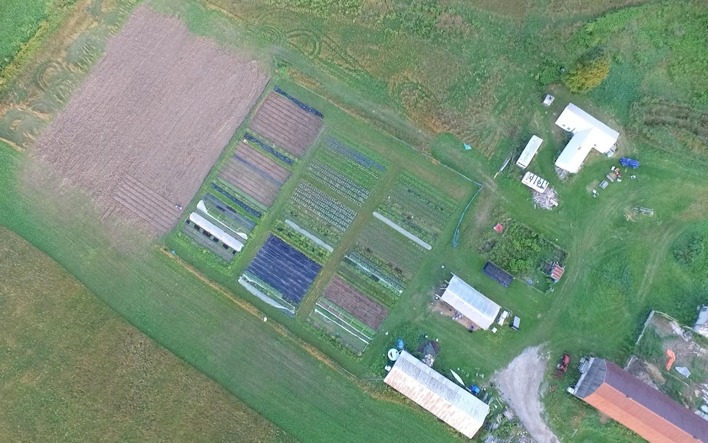 Foragers Farms | 3517 Rowe Rd, Cobourg, ON K9A 4J7, Canada | Phone: (905) 999-3243