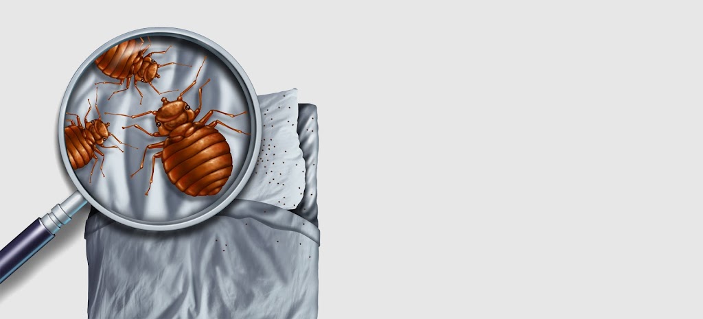 Bed Bug Authority Canada | 53 Nadia Pl, Oakville, ON L6H 1K1, Canada | Phone: (416) 951-0383