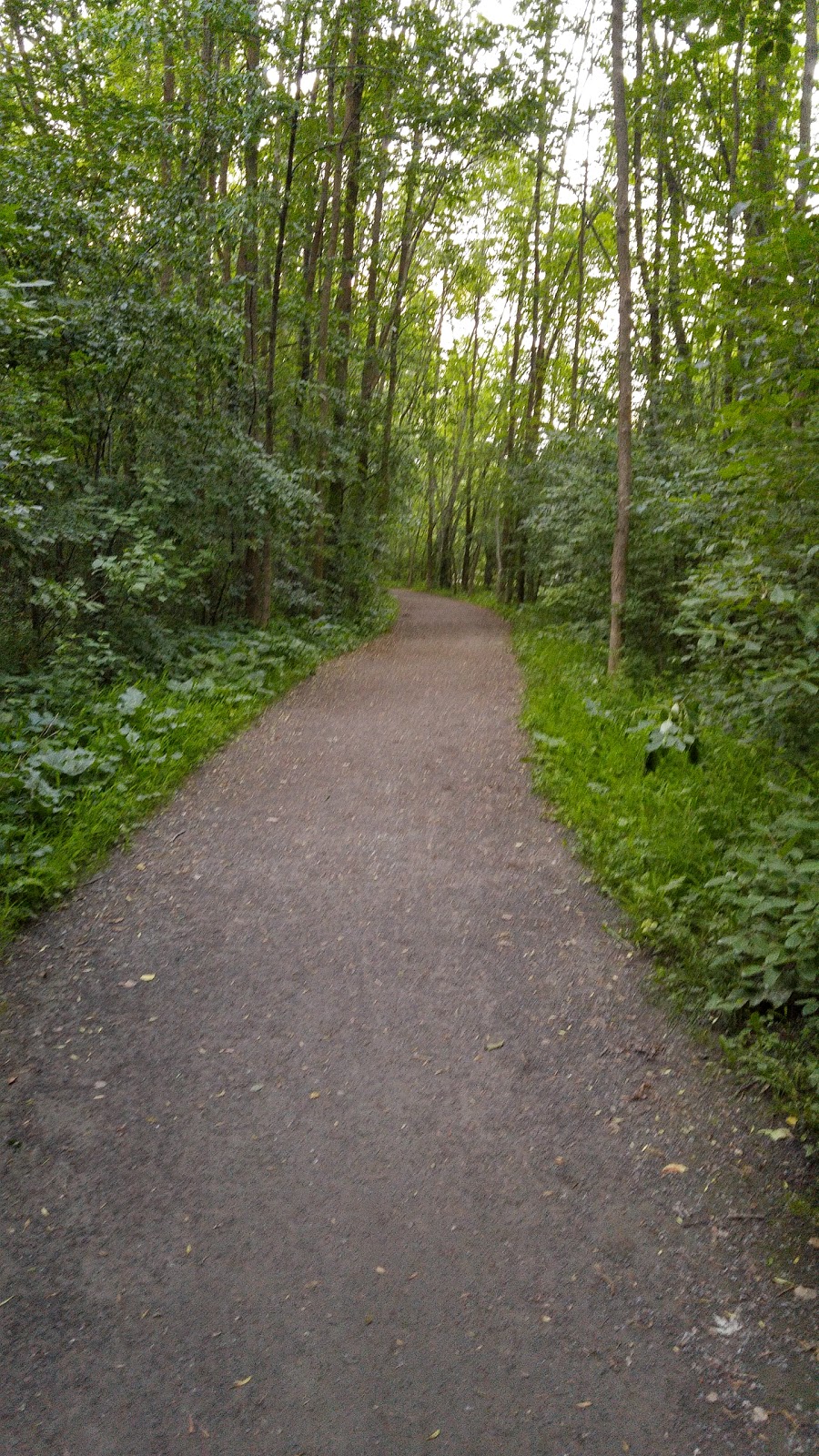 Parc Riverain Du Domaine Garth | Rivière aux Chiens, Lorraine, QC J6Z 0A6, Canada