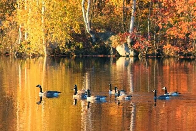 Beauréal Réserve Naturelle | 2777A Chemin Mcgill, Sainte-Julienne, QC J0K 2T0, Canada | Phone: (514) 992-3886