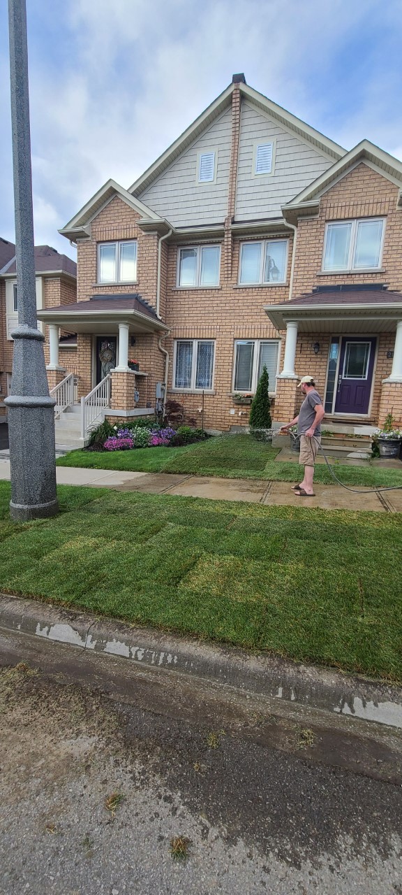 GTA Kentucky Sodding | 14 Beaconsfield Dr, Vaughan, ON L4H 4L5, Canada | Phone: (647) 394-6396