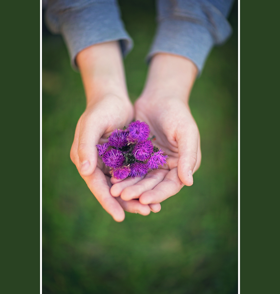 Sharon Cameron Photography | Newmarket, ON L3Y 2N8, Canada | Phone: (289) 380-2410