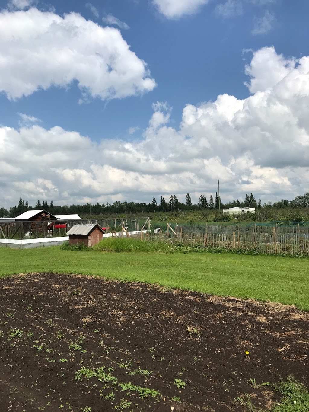 Red Lodge Upick | Township Rd 342 & Range Road 31, Red Deer County, AB T0M 0K0, Canada | Phone: (403) 224-2425