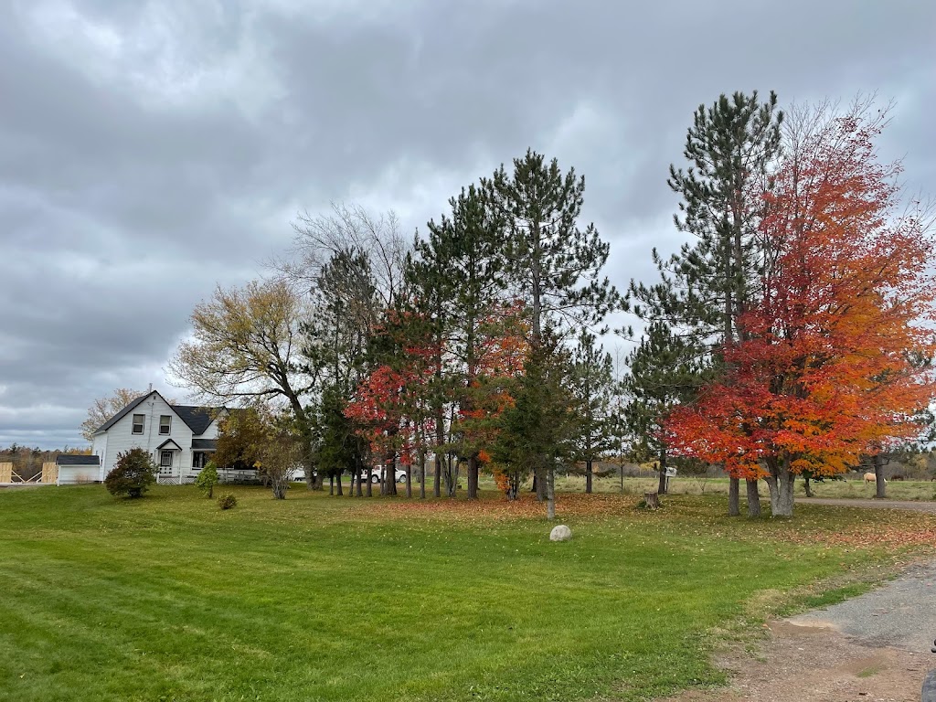 Blossom Grove | 215 Synton Rd, Colpitts Settlement, NB E4J 2Y4, Canada | Phone: (506) 871-5421