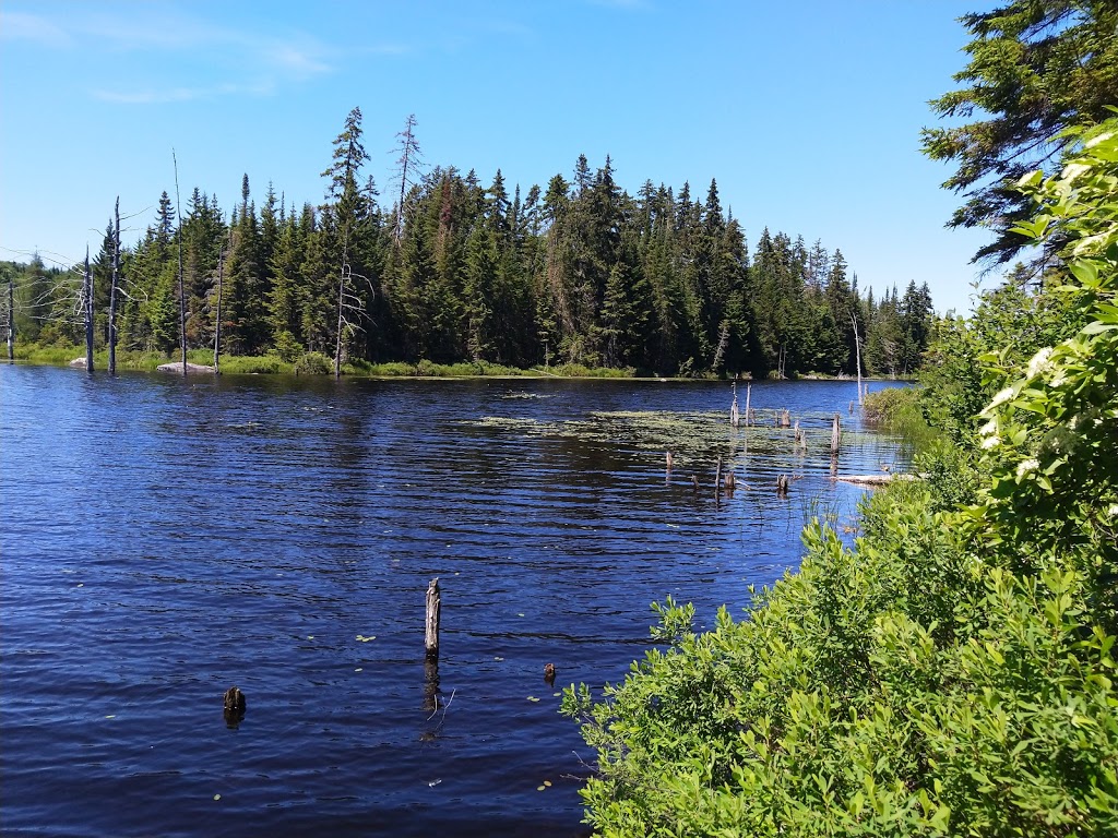 Cap De La Fée | 1712 Chemin Régimbald, Saint-Donat-de-Montcalm, QC J0T 2C0, Canada | Phone: (800) 363-2788