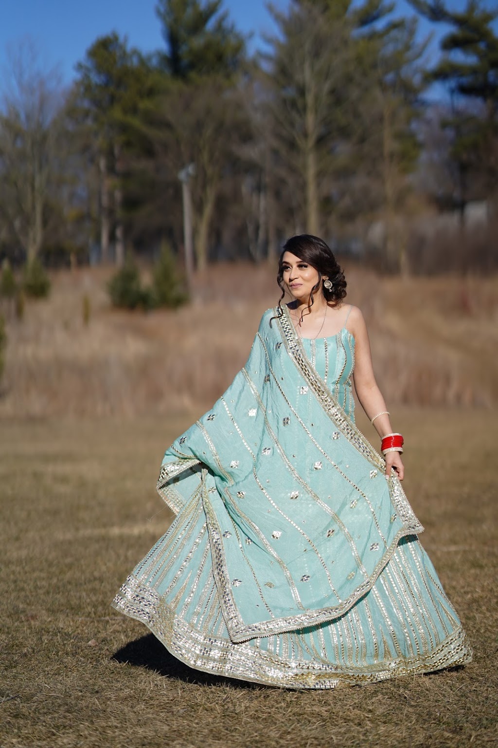 Virdi Artistry | Brittania Crescent, Kitchener, ON N2R 0B1, Canada | Phone: (647) 272-5214