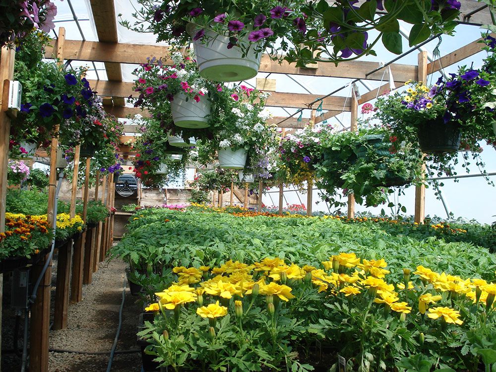 Ollek Landscaping and Nursery | 2530 Knutsford Hills Dr, Kamloops, BC V2E 2S8, Canada | Phone: (250) 851-1200