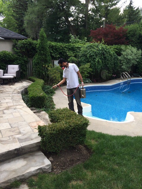 Contact Pest Control | 1955 Victoria Park Ave #10, Scarborough, ON M1R 0C9, Canada | Phone: (647) 709-4856
