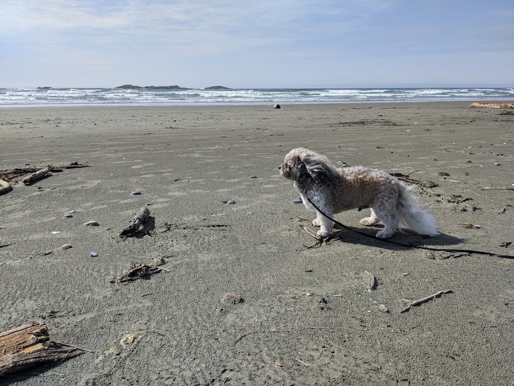 Pacific Rim National Park Reserve | British Columbia, Canada | Phone: (250) 726-3500