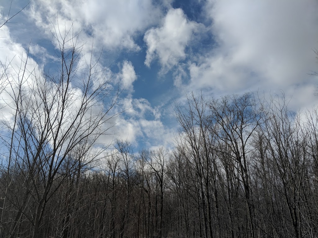 Schmidt Woods Trail | 1291 Nafziger Rd, Baden, ON N3A 0C4, Canada | Phone: (519) 634-8444