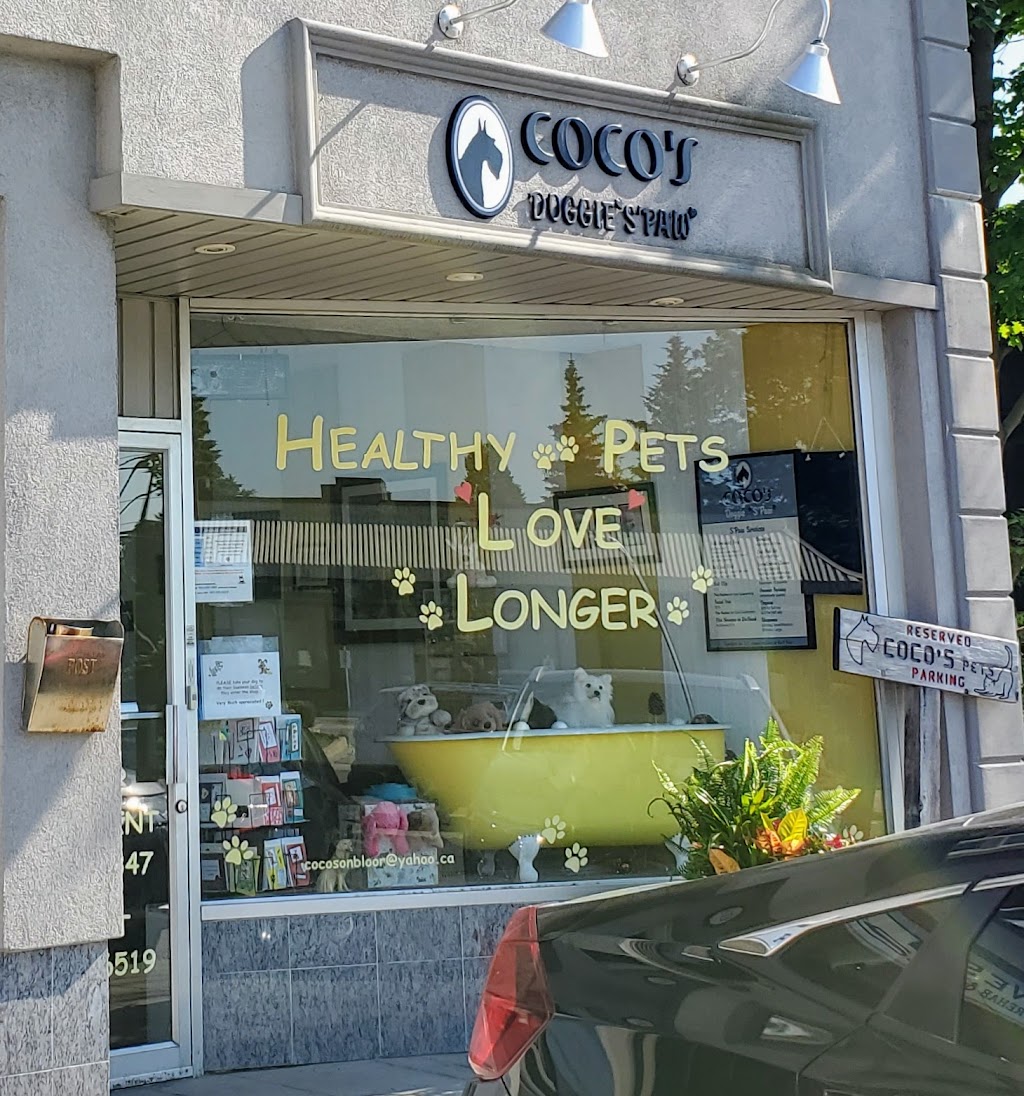 Cocos | 3855A Bloor St W, Etobicoke, ON M9B 1L2, Canada | Phone: (416) 234-1347