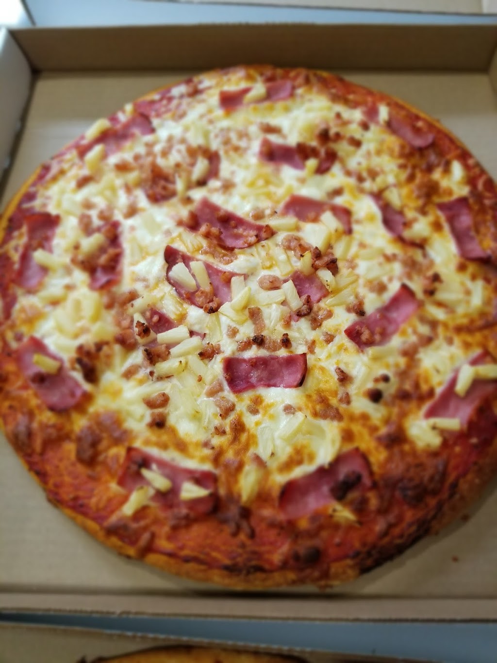 Chatty Pizza | 176 Garafraxa St, Chatsworth, ON N0H 1G0, Canada | Phone: (519) 794-2970