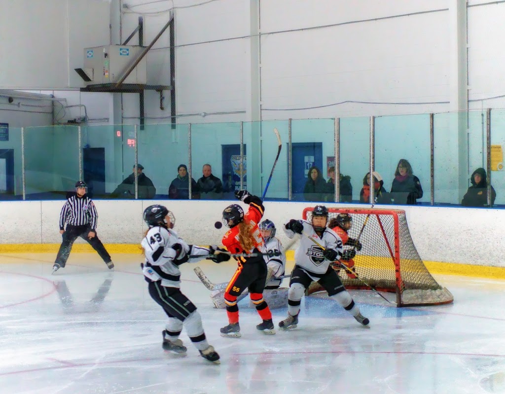 Canlan Ice Sports | 989 Murray Ross Pkwy, North York, ON M3J 3M4, Canada | Phone: (416) 661-5900