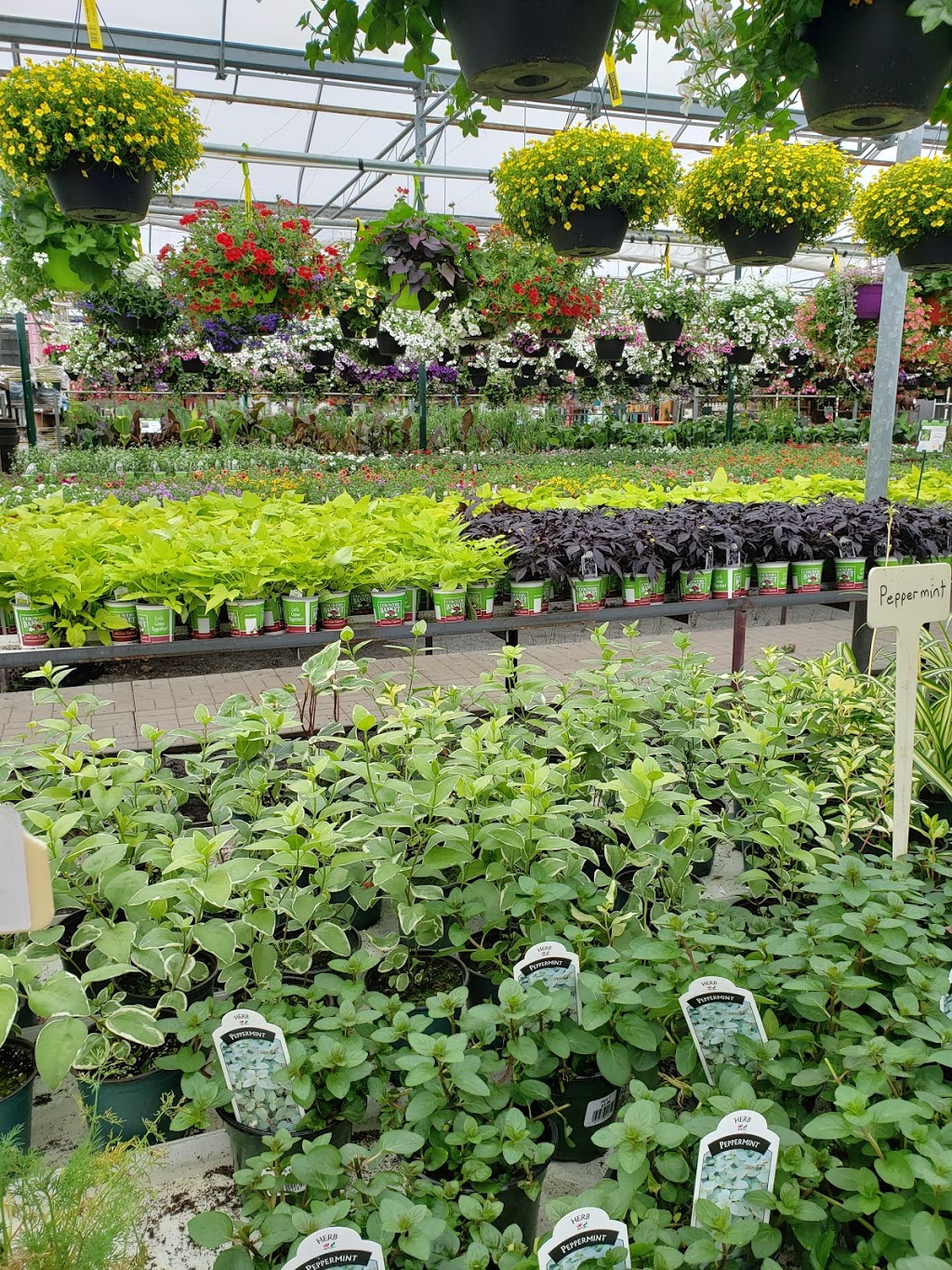 Country Basket Garden Centre & Flower Boutique | 10008 Lundys Ln, Niagara Falls, ON L2H 0T6, Canada | Phone: (905) 358-5811