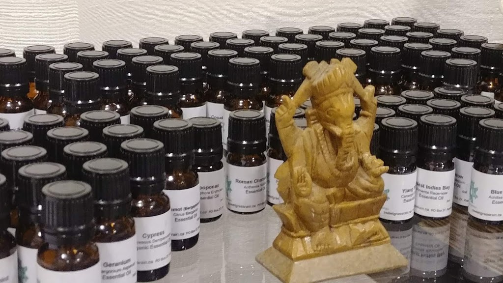 Sweetgrass&Rain Inc. | 9197 ON-6, Kenilworth, ON N0G 2E0, Canada | Phone: (800) 496-5494