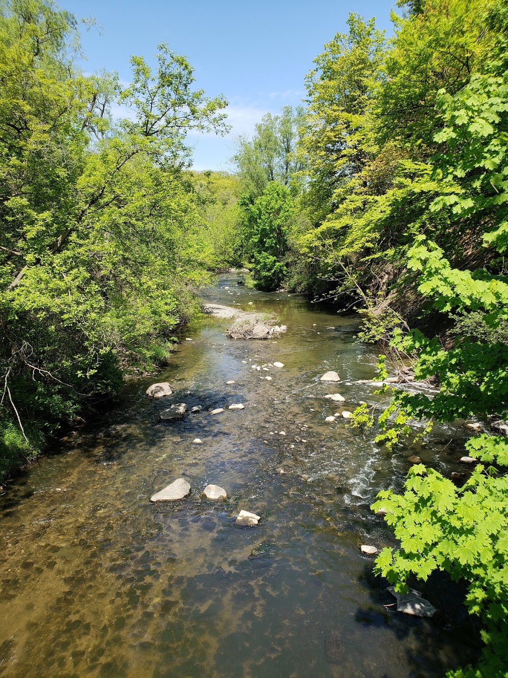Serena Gundy Park | 58 Rykert Crescent, East York, ON M4G 2S9, Canada | Phone: (416) 338-5058