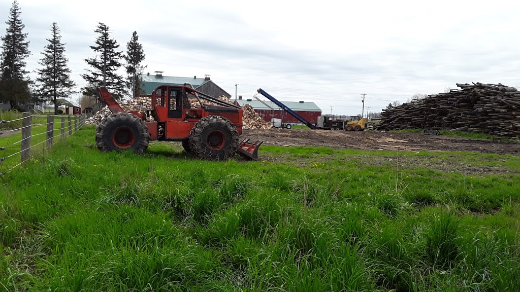 Ebersol Forestry {Firewood-Processing-Logging} | 4805 Line 76, Newton, ON N0K 1R0, Canada | Phone: (226) 751-5388