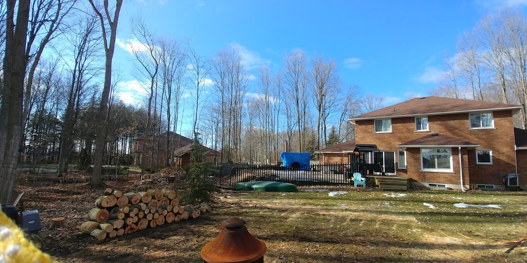Tylers Tree Services | 7854 Yonge St, Innisfil, ON L9S 1L4, Canada | Phone: (705) 717-8357
