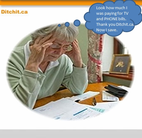 Ditchit Canada | 67 Zachary Pl, Whitby, ON L1M 1E1, Canada | Phone: (647) 800-3479