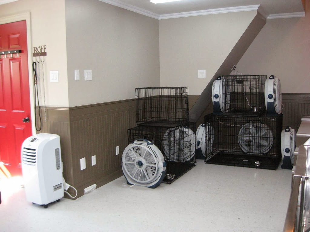 Proud Canines | 1146 Valens Rd, Cambridge, ON N1R 5S2, Canada | Phone: (905) 308-5740