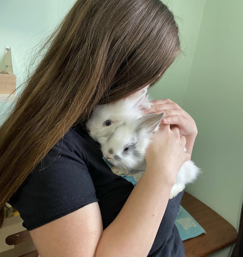 Funny Bunny Services | 10 Tansley Ave, Toronto, ON M1J 1P3, Canada | Phone: (647) 524-4535
