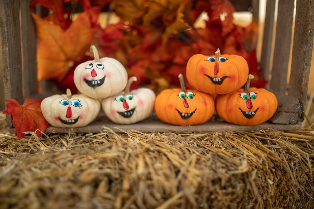Butters Farms | 9232 Quaker Rd, St Thomas, ON N5P 3S6, Canada | Phone: (519) 765-3802