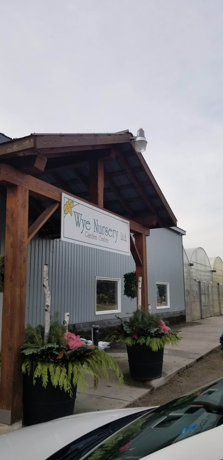 Wye Nursery | 129 Concession Road 6 E, Wyevale, ON L0L 2T0, Canada | Phone: (705) 322-3659