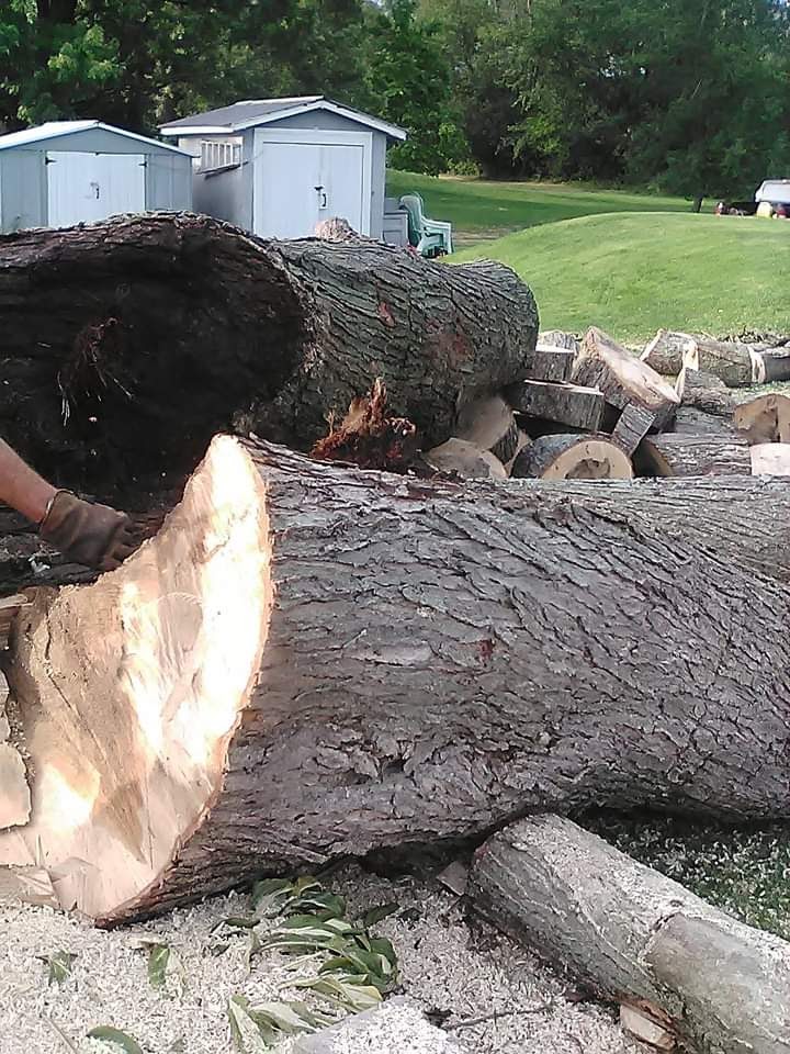 BOSSDAWG TREE REMOVAL | 120 ON-49, Deseronto, ON K0K 1X0, Canada | Phone: (613) 693-1330