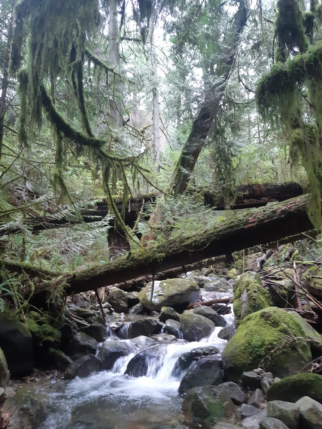 Whyte Lake Trail - Trailhead | 5647 Westport Rd, West Vancouver, BC V7W 1V2, Canada