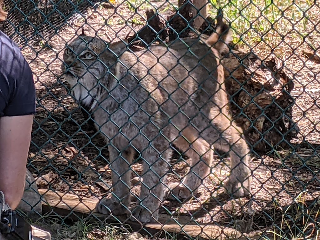 Valley Zoo Development Society | 13315 Buena Vista Rd NW, Edmonton, AB T5R 3G4, Canada | Phone: (780) 496-6924
