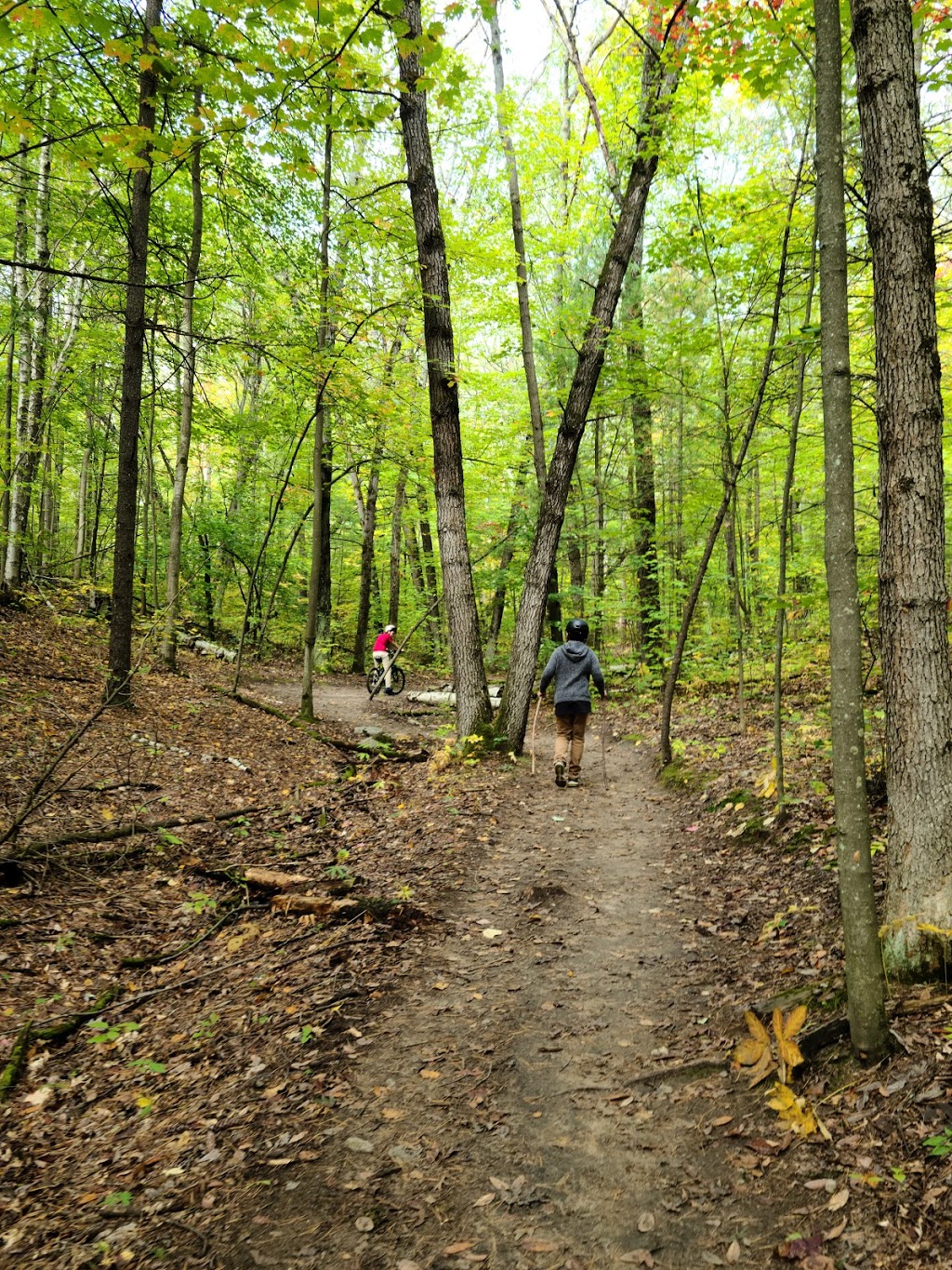 Beagle Club Trailhead, Northumberland County Forest | Beagle Club Rd, Harwood, ON K0K 2H0, Canada | Phone: (905) 372-3329
