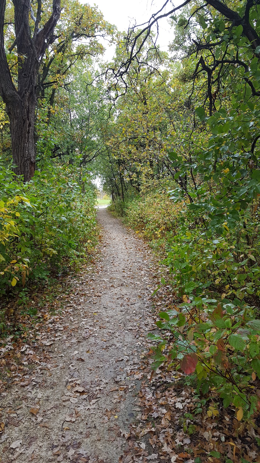 Michael Hrushovetz Park | Springfield North, Winnipeg, MB R2G, Canada