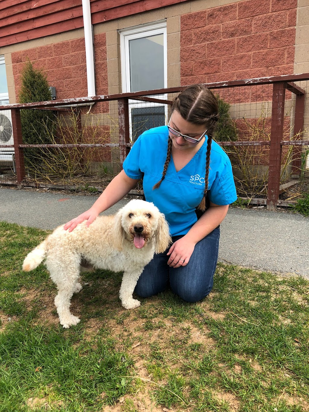Colchester SPCA | 408 Industrial Ave, Truro, NS B2N 6Z6, Canada | Phone: (902) 893-7968