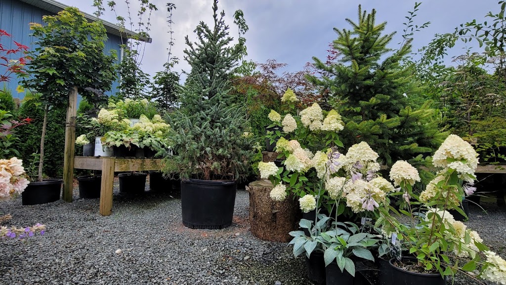 Fruits and Shoots Plant Farm Ltd. | 9660 Pelly Rd, Chilliwack, BC V2P 6H4, Canada | Phone: (604) 997-3563