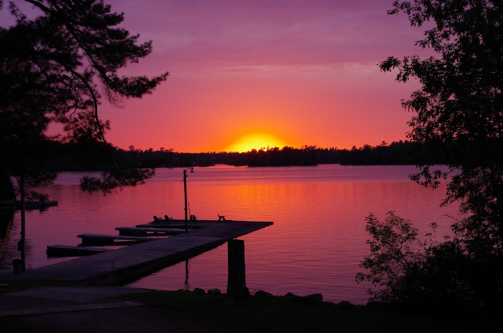 Wantasa Resort | 472 Carveths Marina Rd, Lakefield, ON K0L 2H0, Canada | Phone: (705) 652-3577