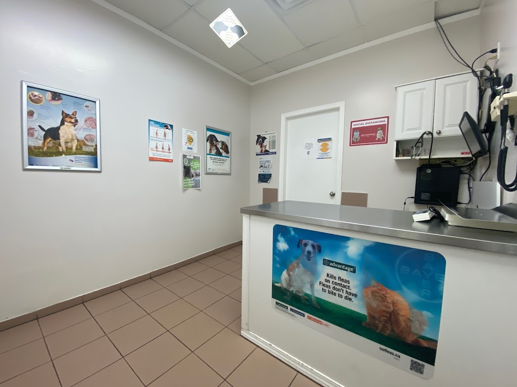 Kensington Animal Hospital | 6620 Hastings St, Burnaby, BC V5B 1S2, Canada | Phone: (604) 291-8387