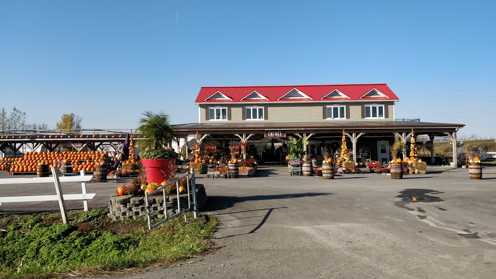 Les Serres Benoit | 721 QC-207, Saint-Constant, QC J5A 2E7, Canada | Phone: (450) 635-9107