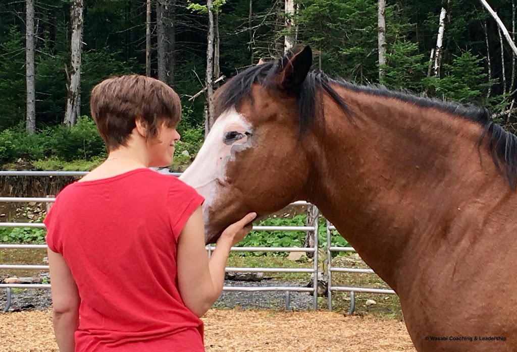 Wásábi Coaching | 1033 Chem. Tamaracouta #1021, Morin-Heights, QC J0R 1H0, Canada | Phone: (450) 340-0535