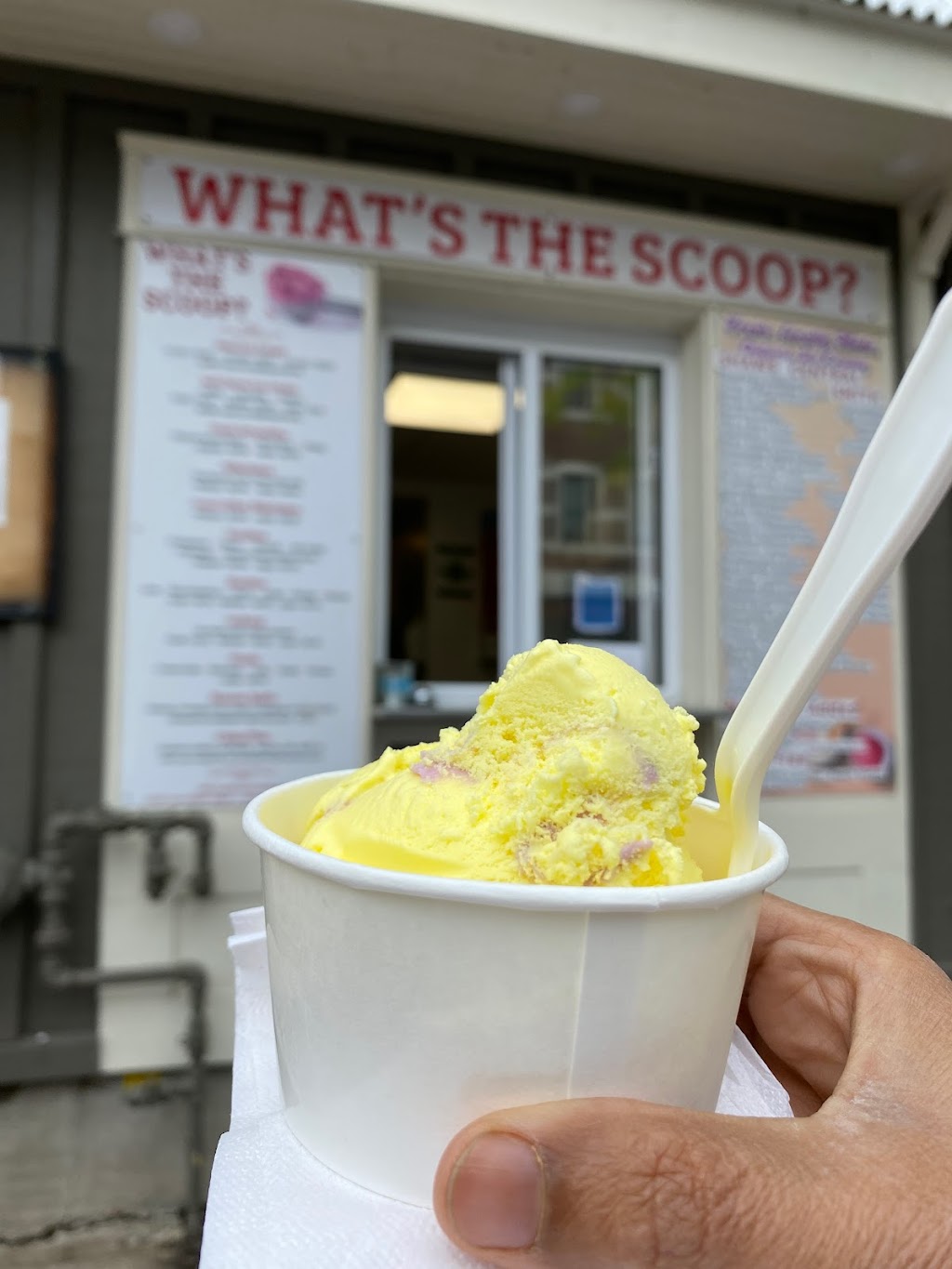 Paris Whats The Scoop? | 20 Mechanic St, Paris, ON N3L 1J9, Canada | Phone: (519) 771-0473