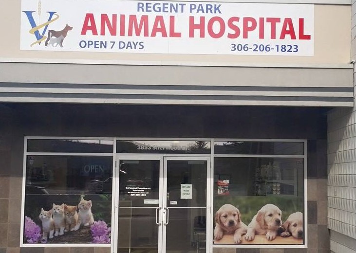 Regent Park Animal Hospital | 3853 Sherwood Dr, Regina, SK S4R 4A8, Canada | Phone: (306) 206-1823