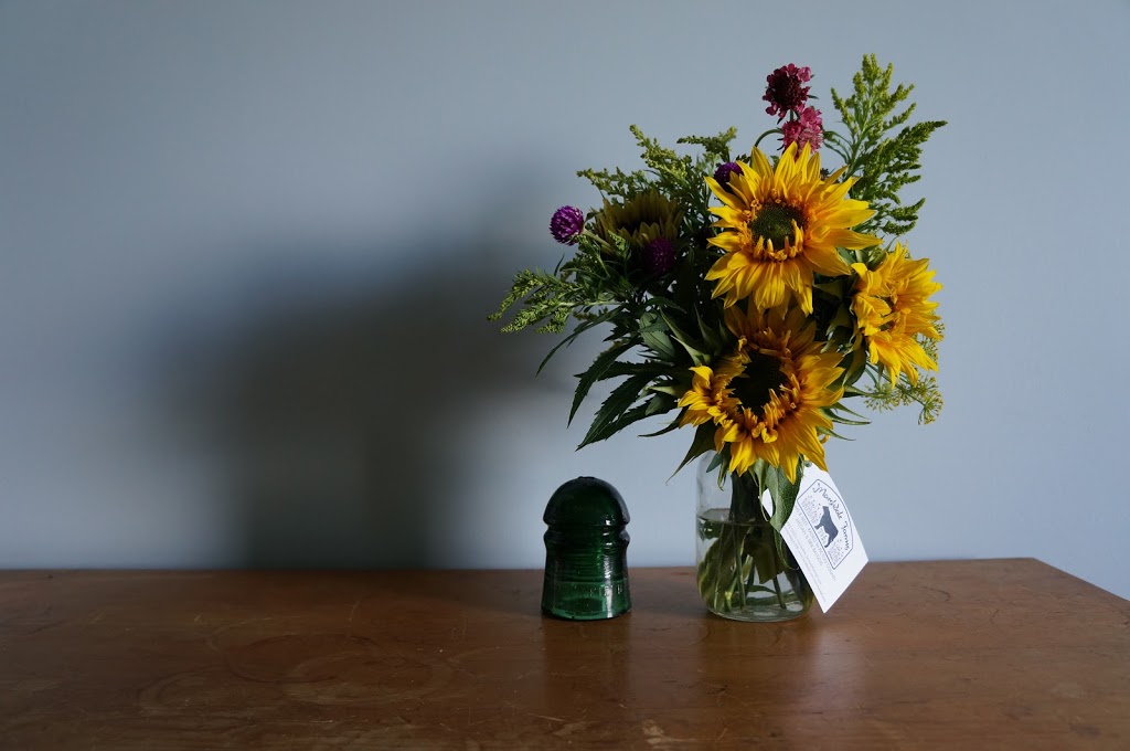 Marshdale Farms | 2731 White Hill Rd, Hopewell, NS B0K 1C0, Canada | Phone: (902) 923-2323