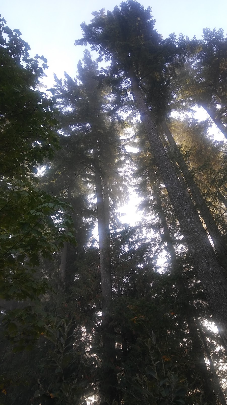 Walton Park | 3000 Guildford Way, Coquitlam, BC V3B 6Y1, Canada | Phone: (604) 927-3000