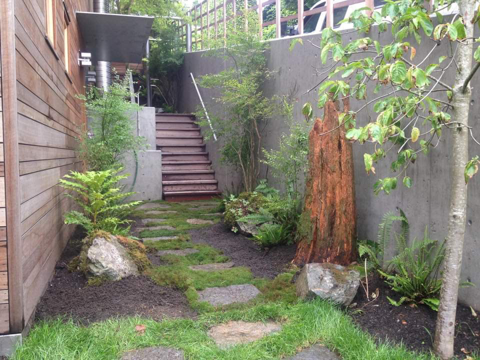 Treewisemen Landscaping Ltd. | 39472 No 5 Rd, Abbotsford, BC V3G 2G3, Canada | Phone: (604) 861-8733