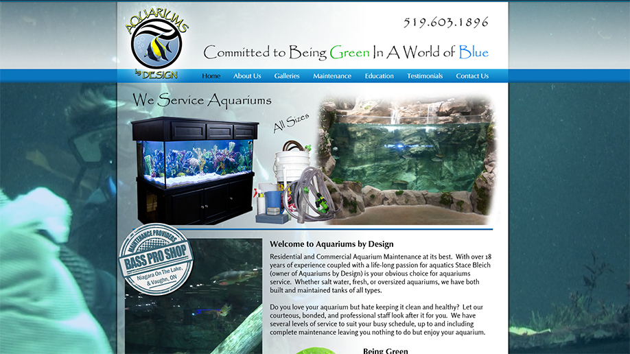 Waterloo Web Works | 642 Beechwood Dr, Waterloo, ON N2T 2J7, Canada | Phone: (519) 580-7828