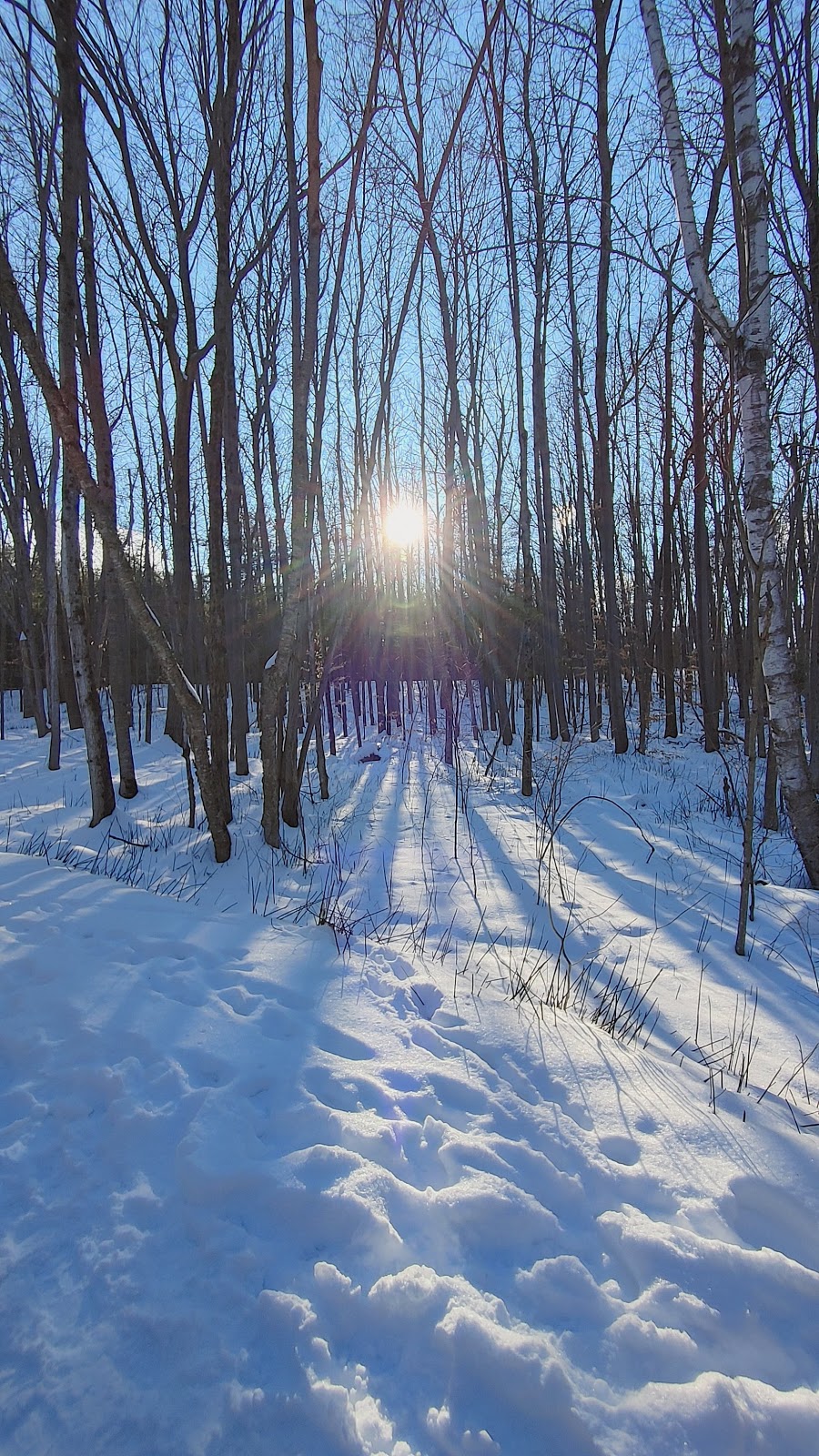 Sidney Conservation Area | 379 Airport Rd, Stirling, ON K0K 3E0, Canada | Phone: (613) 968-3434