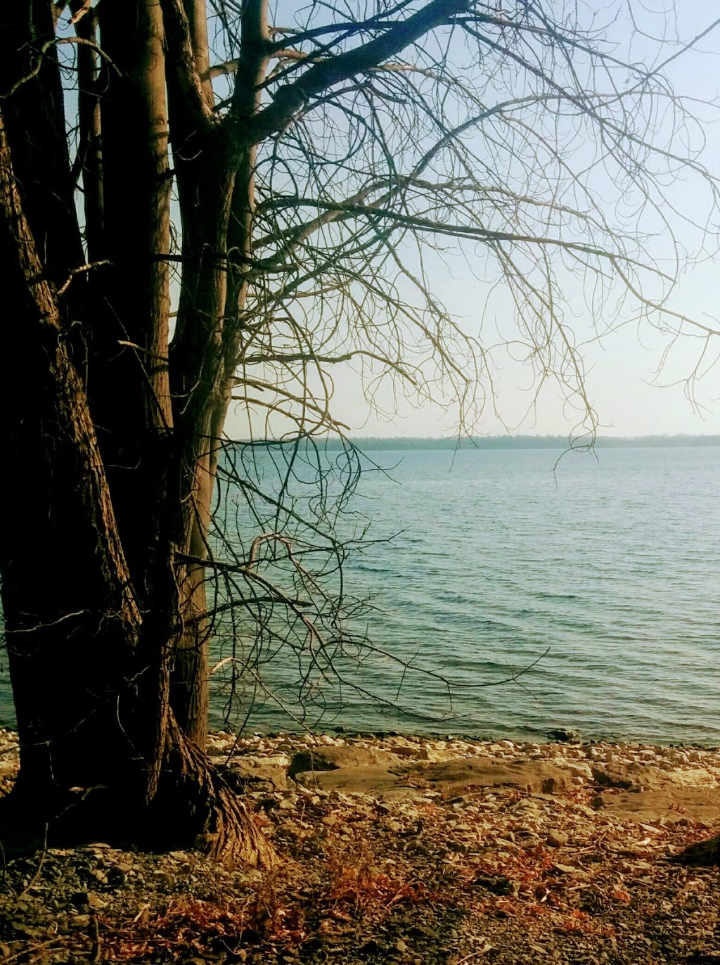 Waterfront park | 5747-5825 Bath Rd, Odessa, ON K0H 2H0, Canada